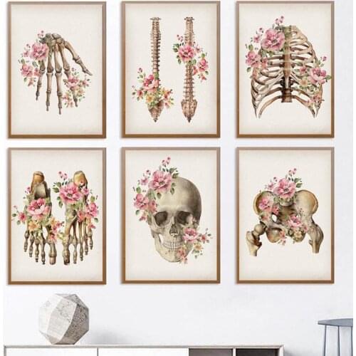 Skeleton Anatomy Poster Skull Spine Medical Poster Wall Art Print Canvas Painting Abstract Picture Clinic Home Decoration