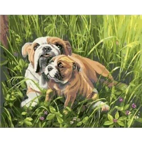 English Bulldogs DIY Oil Painting by Numbers on Canvas with Frame Coloring by Numbers Pictures Drawing Home Decor