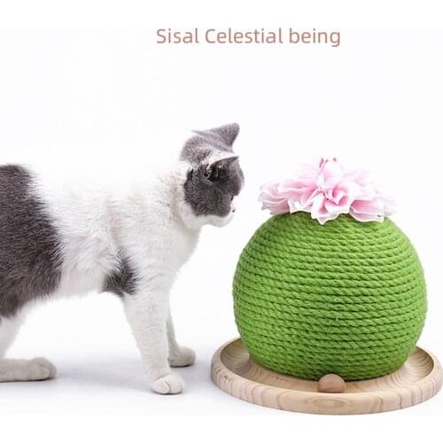 Cactus Shape Cat Scratcher Circle Track With Moving Balls Cats Interactive Toys Funny Ball Funny Pet Toy