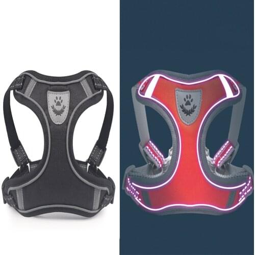 Dogbaby Harnesses