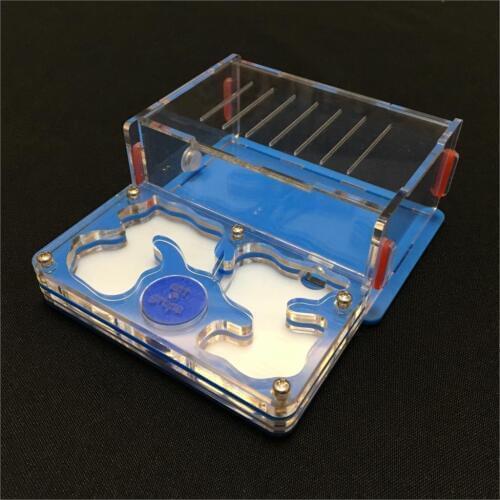 Ant-grape series M size plane design with feeding area ant nest ,ant farm acrylic, insect antvilla pet mania for house ants