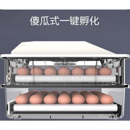 Incubator Incubator Intelligent Small Water Bed Incubator Mini Household Full Automatic Chicken Duck Goose Incubator
