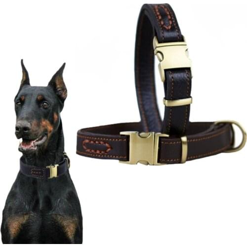 Taotaopets Collars