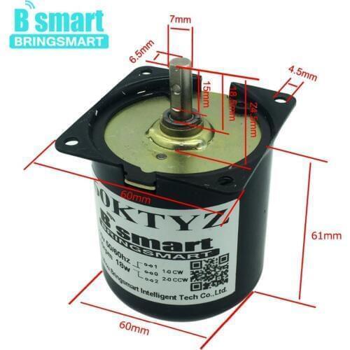 Bringsmart 110V 220V Synchronous AC Gear Motor Mini Electric Motor Reducer Low Speed Metal Gear Motor for Barbecue Wholesale