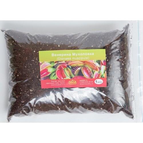 Exotica Decorations For Aquariums