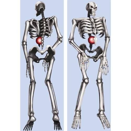 OVERLORD Anime Cool Hugging Body Pillow Cover Case Ainz Ooal Gown 60x180cm cool long pillowcase