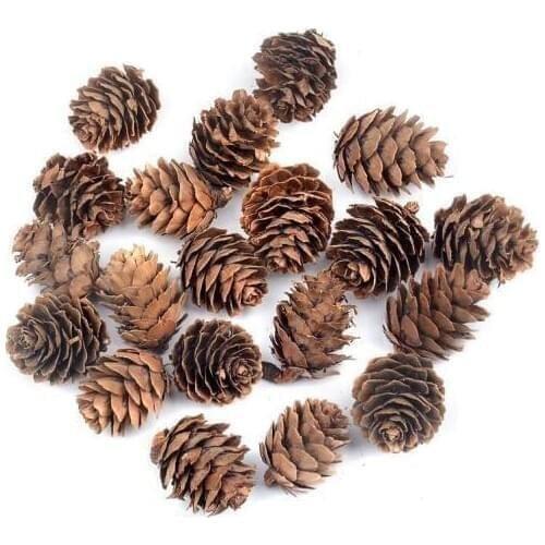 40pcs Natural Pine Nuts Fruit Artificial Flowers Pineapple Cones for Wedding Christmas Decoration DIY scrapbooking Carft