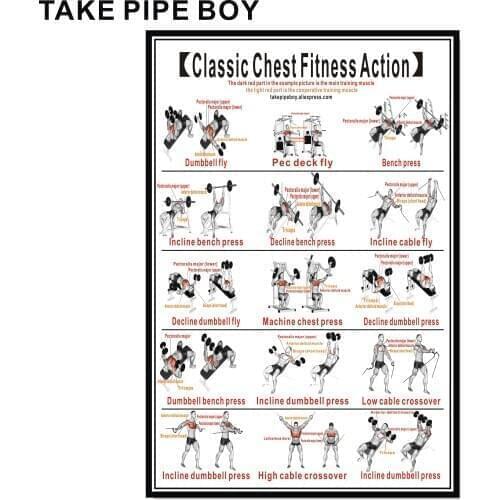 Chest Dumbbell Workout Exercise Poster - Strength Training Chart - Home Gym Weight Lifting Routine - Body Building Guide