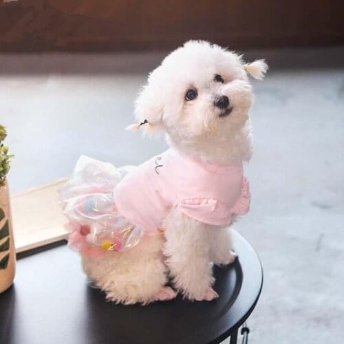 2021 Puppy Cotton Lace Princess Dress Small Dog Skirt Summer Thin Section Romantic Gauze Skirt Pet Clothing With Free Shipping