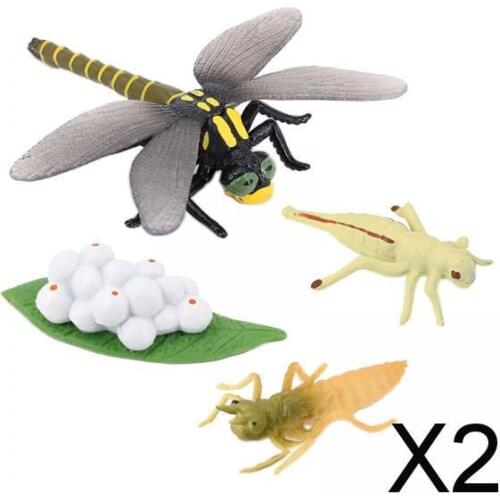 2xLifelike Dragonfly Growth Life Cycle Insect Model Child Early Teaching Toy
