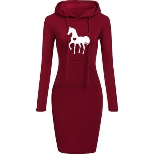 New Hoodie Women Dress Casual Hooded Pocket Long Sleeve Pullover Sweatshirts Womens Fashion Hooded Autumn Winter Dropshipping