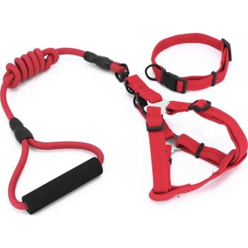 Pet Elastic Leash Perfect Walking Dog Leash Set Vest Dog Harness for Dogs Puppy Collar Cat Pet Dog Chest Nylon Leash