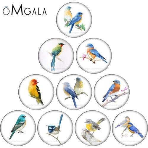OMGALA 10mm/12mm/14mm/16mm/18mm/20mm/25mm Cartoon Animal Parrot Bird Round Photo Glass Cabochon Demo Flat Back Making Findings