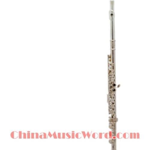Hot Sale Musical Instrument Flute(HYCD-06)