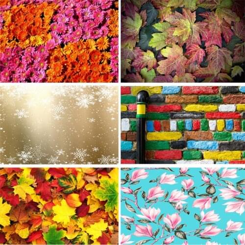 SHUOZHIKE Vinyl Custom Photography Backdrops outdoor+Brick wall Theme Photography Background 200309RG-02