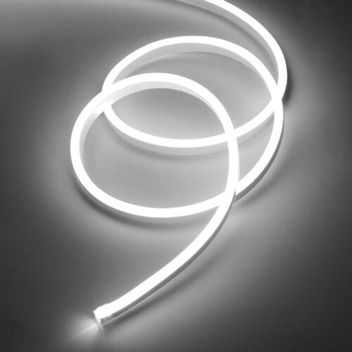 Luces led Neon Light Led Strip 220V to 12V DC Flexible Light Power Plug Smd 2835 Garden Outdoor Waterproof IP67 LED Lights