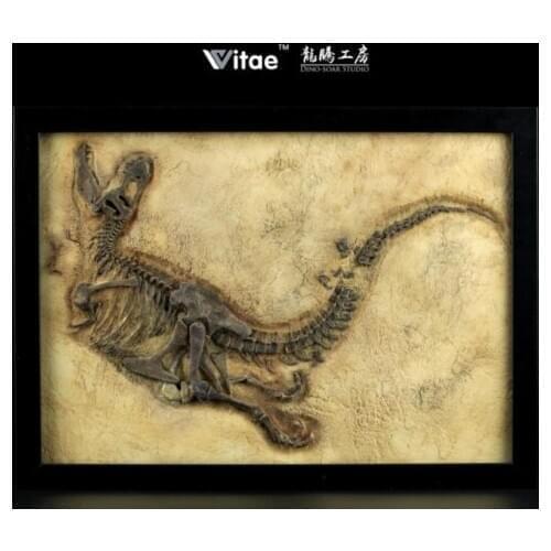 NEW Vitae (Tyrannosaurus Rex) Bone Fossil Replica Model Home Decor Fast Shipping