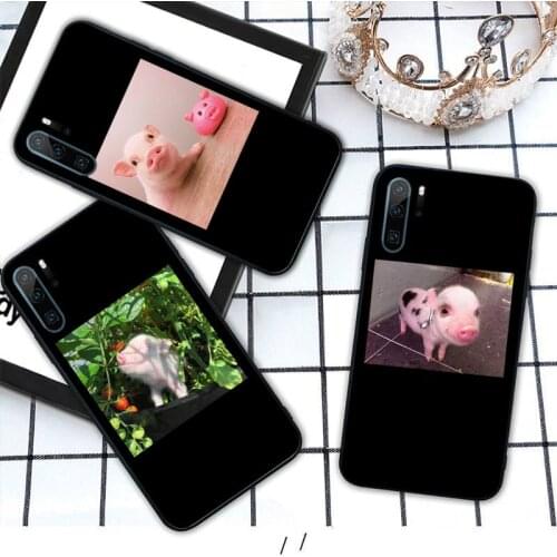 Pet Pig Aesthetically interesting pattern Phone Case For Huawei honor Mate P 10 20 30 40 i 9 8 pro x Lite smart 2019 nova 5t