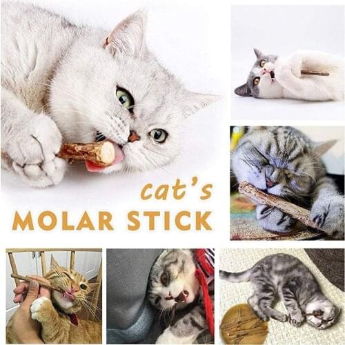 New 15pcs Cat Cleaning Teeth Natural Catnip Pet Cat Molar Stick Cat Snacks Silvervine Sticks Chew Toy Chew Sticks