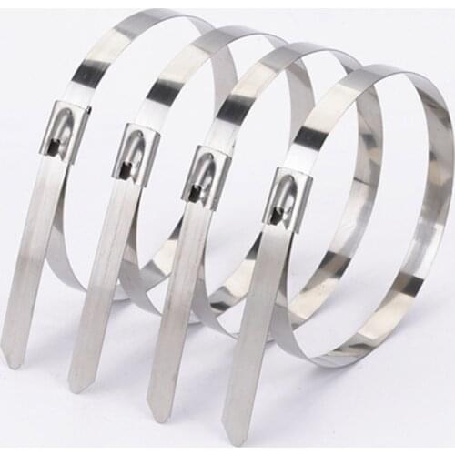 10PCS 4.6x300/100/150/200/250/550mm Stainless Steel Metal Locking Cable Ties Zip Wrap Exhaust Heat Straps Induction Pipe Header