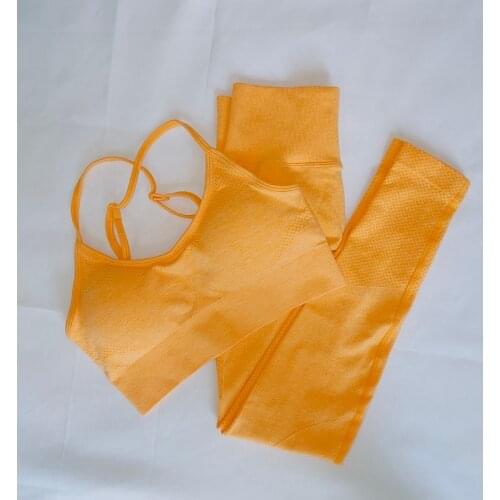 Women Outfit Sports Yoga Set High Waist Hip Lifting Tight Seamless Leggings Shockproof Gathered Running Fitness Bra Suit