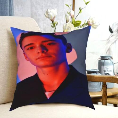 Noah Schnapp 2264 Dakimakura Pillow Case Pillow Cover Sofa Throw Pillows Pillowcase 40x40