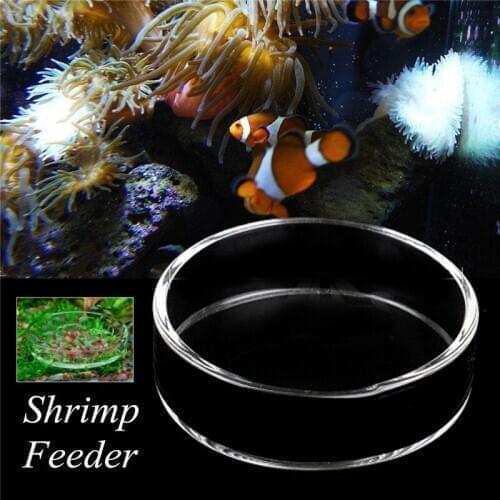 Clear Glass Shrimp Feeding Food Dish Feeder Tray Round Container Aquarium