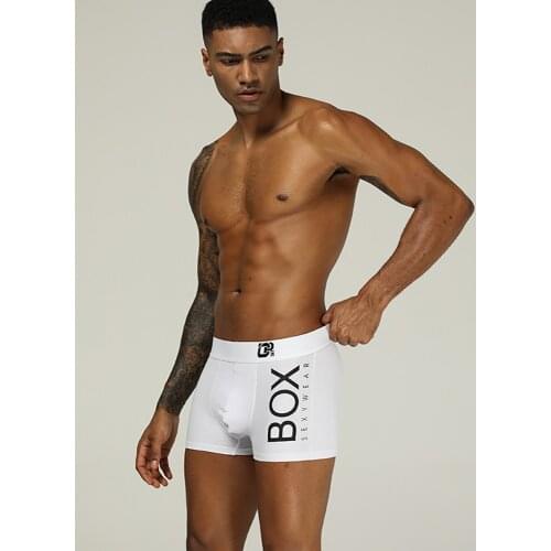 Underwear Man Mesh Cotton Boxer Briefs Men Breathable Underpants for Male Comfortable Sexy Gay Man Underwear 2 Colors