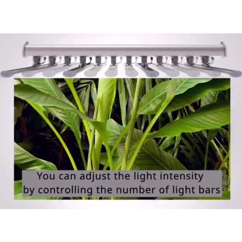 LUX China factory led plant lighting cover 8*8ft footprint 2000w full spectrum led grow light for medical plants