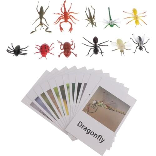 12Pcs Toy Insects Animals Model Naming Cards Kit Montessori for Early Education