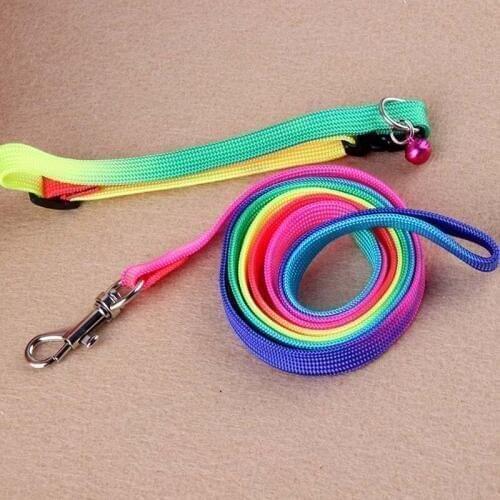 Puppy Multicolor Pet Supplies Dog Leash Dog Collar Cat Necklace Bell for Cats and Puppies Pet out Nylon Rope Dog&cat accessories