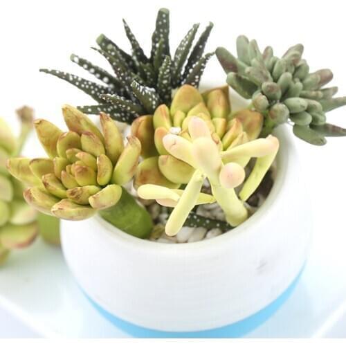 3D Plants Silicone Cake Mold Beautiful Succulent Confectionery Sugarcraft Gumpaste Tool Mold Fondant Mold 2 Style