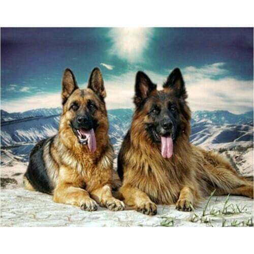 ARTBACK16 style 5d diamond painting two German shepherd full square drill diamond embroidery 3d round dog animal sticker 20x25cm
