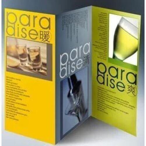 A4 Flyers Leaflet two folder Free Design Double Sided Full Color 157gsm Artpaper - 500 pcs FREE shipping