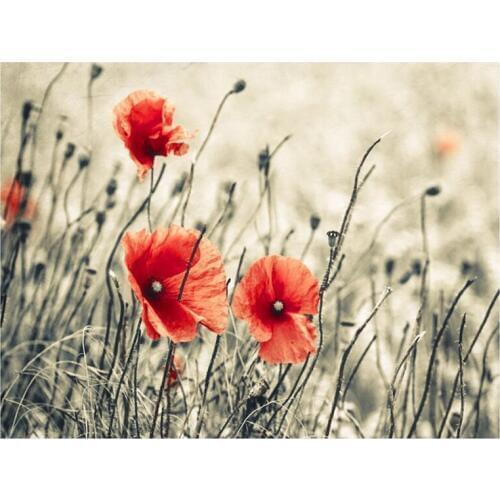 New 5D Diy diamond painting Red poppy flowers cross stitch kits diamond embroidery pictures by number Wedding decoration TY424