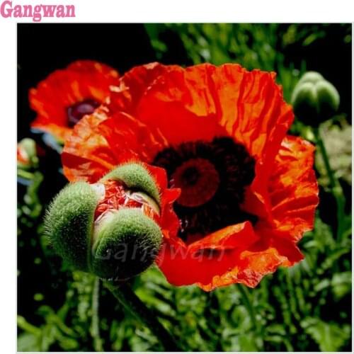 Full DIY 5D Diamond Painting Red poppy flower Cross Stitch Diamond Embroidery Rhinestones Mosaic Diamond Mazayka home decoration
