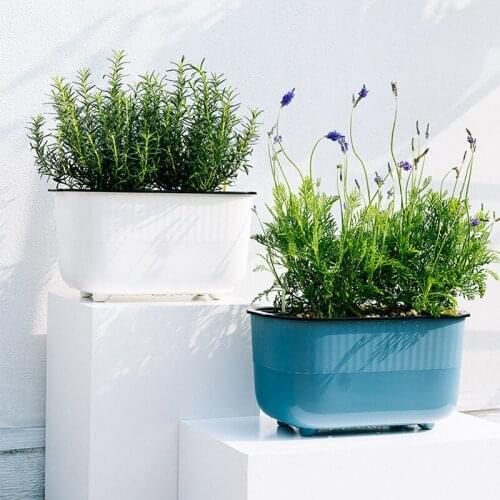 IBzecvi Balcony Planter Boxes for Domestic Gardening Self-absorption Basin Rectangle Flower Pot Plastic Grow Vegetables Seeds
