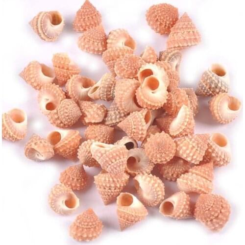 50Pcs Natural Spiral Seashell Home Decoration Accessories Shells For Glass Bottle Fish Tank Nautical Beach Decor Handmade Crafts