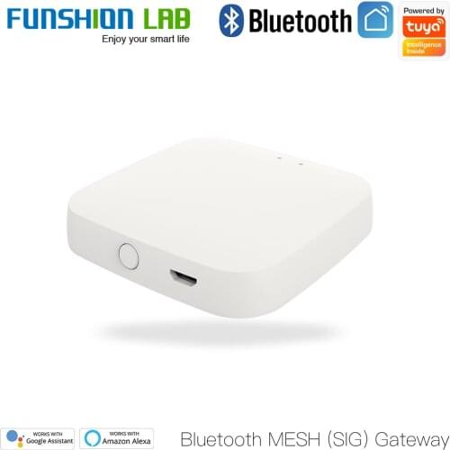 FUNSHION Tuya Bluetooth Gateway Hub Smart SIG Mesh WiFi Smart Life APP Remote Control Work with Alexa Google Home