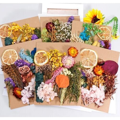 DIY Dried Flowers Resin Mold Fillings UV Expoxy Flower for Nail Art Pressed Flowers for Home Decor Handicraft