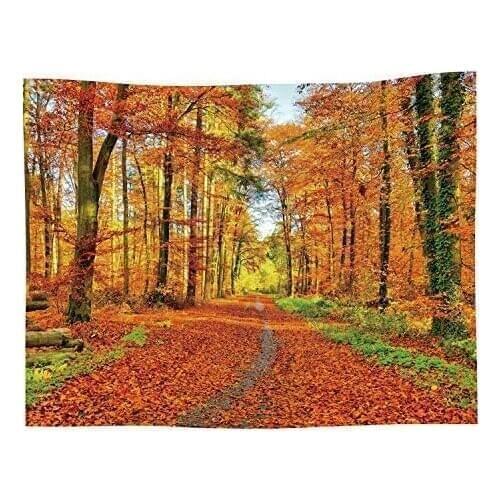 Autumn Landscape Tapestry Fall Nature Scenic Scenery Trees Woods Forest Plant Leaves Art Decor Wall Hanging