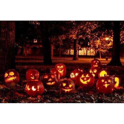 VinylBDS Backdrops Photography Halloween Night Pumpkin Forest Background For Children Natural Photographic Studio