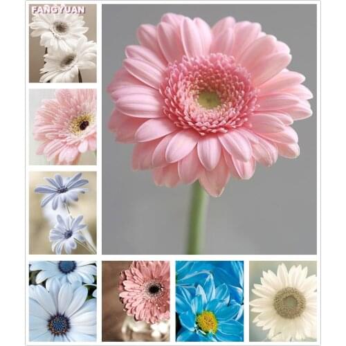 Diy Diamond Painting Flowers Full Square Round Drill Diamond Embroidery Daisy Mosaic Craft Kits Picture Home Wall Art Decor Gift