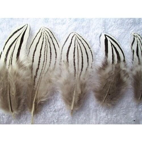 Free shipping beautiful 50 natural turkey feathers length 5-10cm / 2-4inch diy Variety of decorative hot Scarce hot