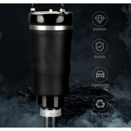 Air Suspension Strut for Mercedes-Benz FRONT GL320/350/450/550 ML320 W164 X164
