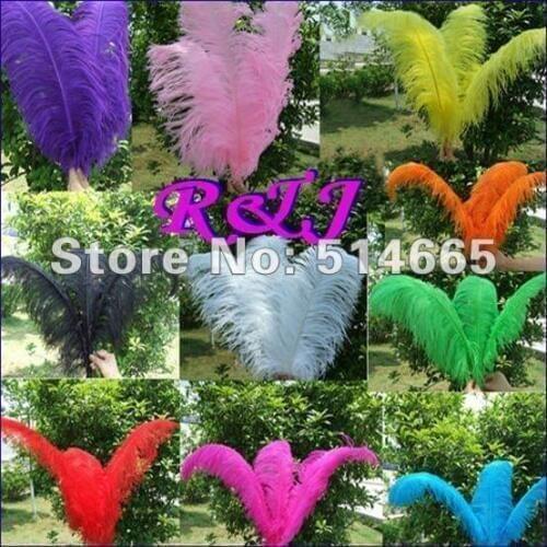 EMS free shipping Cheap ostrich feather 200pcs 26-28 inches 65-70cm assorted 8 colors Ostrich plume ostrich plumage