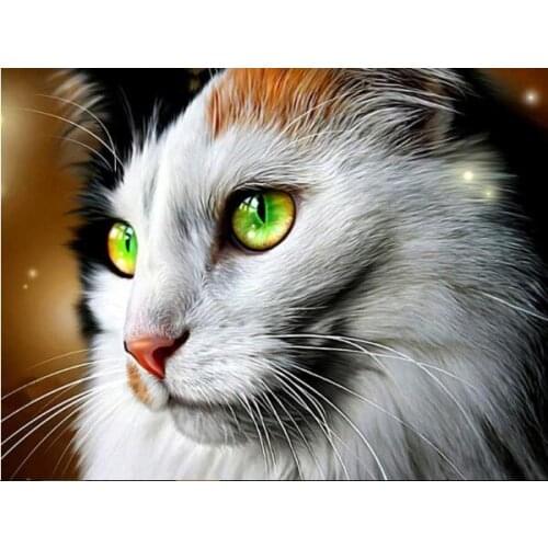 TOUOILP square full Diamond Painting Kat Met Groenen Ogen