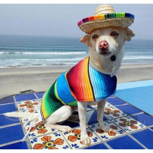 1PC 2021 Straw Sombrero Mexican Hat Pet Adjustable Buckle Multicolor Pet Straw Dog Cat Hat Hot Sale Dog Cat Costume Accessories