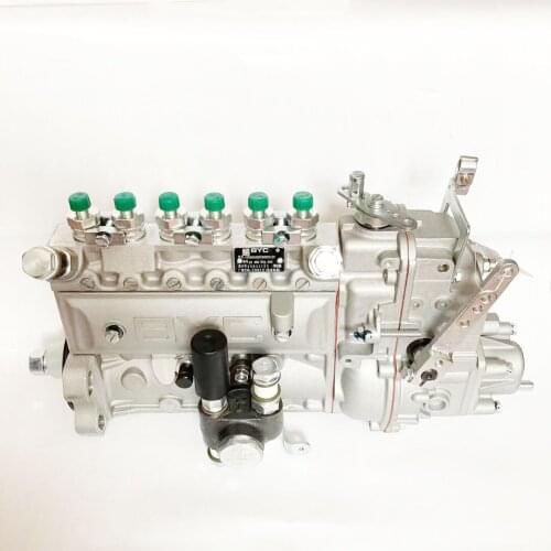 BYC ASIMCO Diesel Injection Pump 10400876050 CPES6A95D320RS2123 For HUAFENG POWER