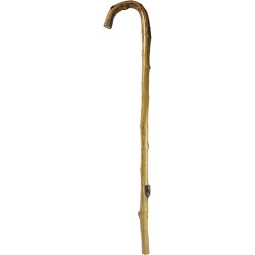 LC Canes